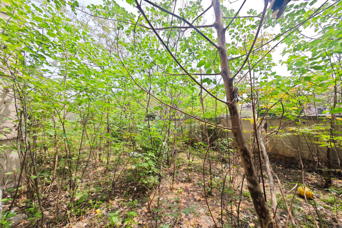 保利城（中航城国际社区、郡原美村）  5室2厅3卫   320.00万其他