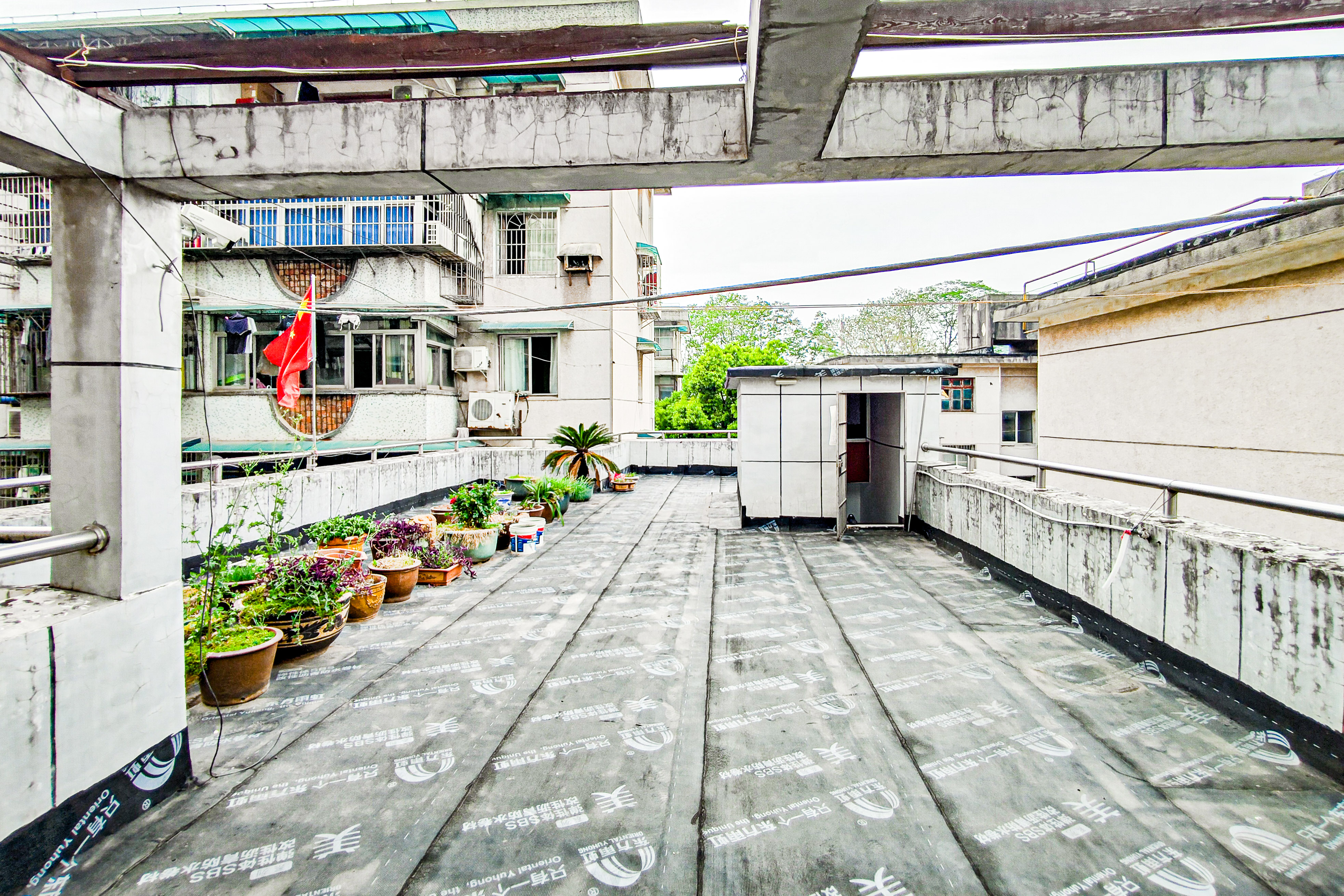 茶园坡社区(原王家冲社区)  6室2厅3卫   350.00万阳台
